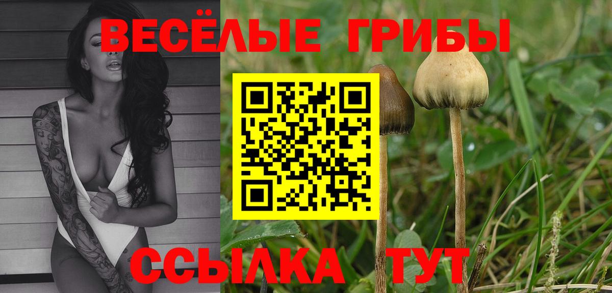 Галлюциногенные грибы Cubensis  Вход с VPN  Курчатов 