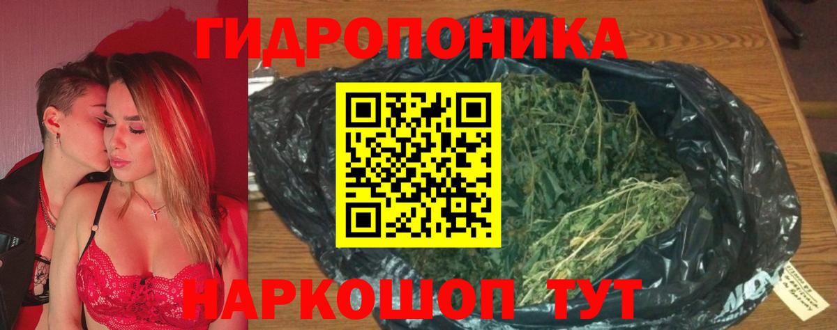 Бошки марихуана планчик Курчатов